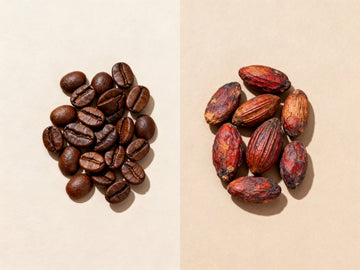 Coffee vs Cacao: Which Energy Source Is Better for Focus and Mood?
